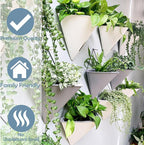 LaLaGreen Succulent Wall Planters - Image 9