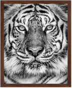 Poster Master Tiger Print by PosterMaster