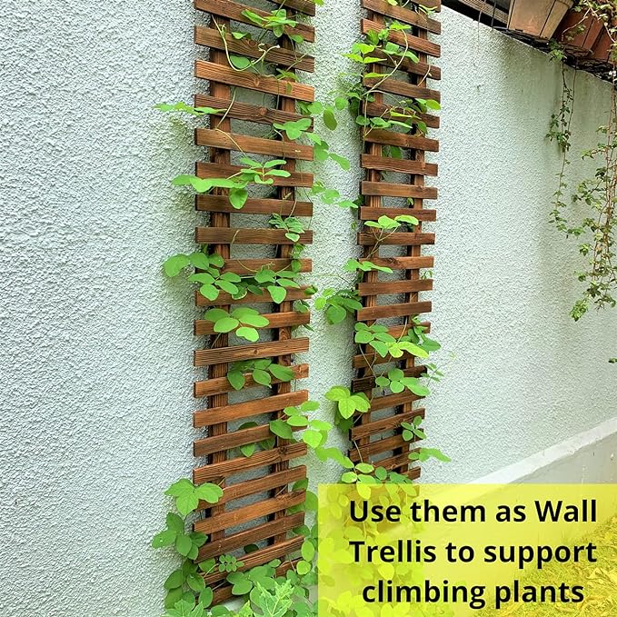 ShopLaLa Wall Planter - Image 4