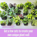 LaLaGreen Wall Planter Black Metal Wall Hanging Decor - Image 3