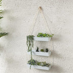 LaLaGreen Hanging Wall Planter - Image 8