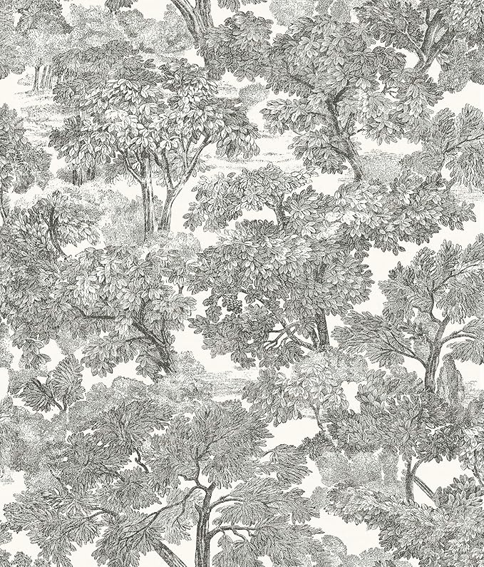 Chesapeake Black Spinney Toile Wallpaper, Strippable, 20.5 in x 33 ft by Chesapeake