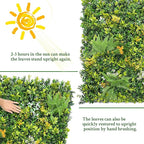 ODTORY Artificial Boxwood Hedges Panels Roll: 20"x20" 12P UV-Anti Faux - Image 7